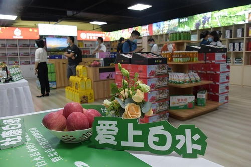 陕西白水农特产品走进北京 创新宣传方式助力乡村振兴